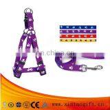 Pet Head Traction Band Pet Strap Band Factory thumbnail-1