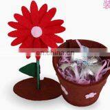 Beautiful Happy Pretty Gift Box thumbnail-3