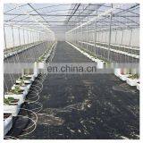 High Quality Cheap Price Agricultural Indoor Solar Greenhouse Frame With Plastic Sheet Tent thumbnail-2