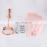 Modern Design Contemporary Contracted Nordic Creative Romantic LED Ostrich Feather Table Lamp Decor With Remote Control thumbnail-6