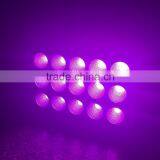 Quality Best Sell Ledsmaster 1000w Led Rgb Lighting thumbnail-2