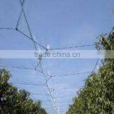100% HDPE High Quality Plastic Anti Hail Net