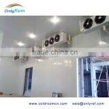 Hot Sale Industrial Blast Freezer