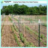 regular duty 1.25lb/f wholesale agricultural hot sale galvanized t studded post