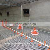 Poultry Chicken Feeders