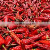 Chinese Red Pepper
