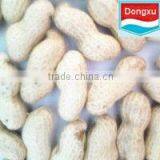Organic Raw Peanuts in Shell