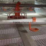 2.5-3.0 kg Broiler Cage Feeding Farm thumbnail-3