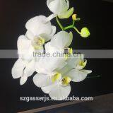 Outdoor Indoor Banner Eco-sovlent Ink UV Ink Printing Flex Advertisement Banner thumbnail-4