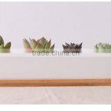 2016 Hot-sell Wholesale Price Artificial Tropical Mini Succulent Plant Pot Porcelain Flower Pot in Garden thumbnail-6
