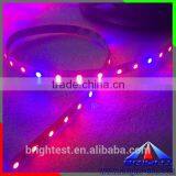 Led Grow Lighting,Led Grow Light Strip,Led Grow Lighting