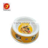 Colourful Dog Water Feeder