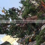 Camouflaged Communication Pine Tree Tower/pine Tree thumbnail-3