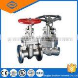 Industrial ss Gate Valve thumbnail-2