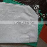 High Tensile Strength Plastic Tarpaulin and Rotproof Tarpaulin Sheet of Plastic Sheet Supplier thumbnail-2