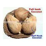 Fresh SemiHusked Cocount thumbnail-5