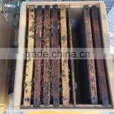 Long Service Life Bee Hive Apiary thumbnail-5