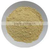 DRIED GINGER POWDER PRICE thumbnail-1