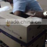 Green Fresh Cavendish Banana From India thumbnail-1