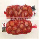 Frozen Chestnut From the Factory thumbnail-3