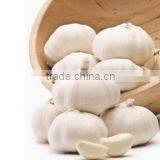 Natural White Fresh Garlic thumbnail-5