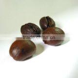 Robusta Coffee Bean thumbnail-4