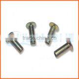 High Quality Steel Hollow Rivets