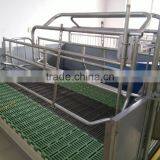 Plastic Slat Floor for Pig Farm/ Iron Slat Floor thumbnail-4