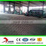 Hexagonal Wire Mesh/chicken Wire Mesh for Cultivation thumbnail-1