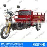 1200W 15 Tubes Eletric Cargo Tricycle on Sale thumbnail-1