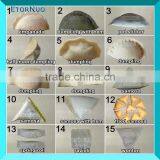 18000 Pcs/Hour High Capacity Commercial Chinese Automatic Pierogi Maker Machine thumbnail-6