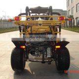 Water-cooled EEC Disc Brake Buggy 150cc/250cc (TKG250E-C) thumbnail-3