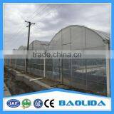 Large Multi Span Green House thumbnail-1