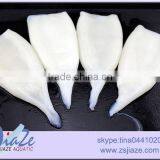 Frozen Squid Tube/giant Squid/illex Squid thumbnail-1
