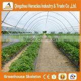 Heracles Trade Assurance High-Tunnel Greenhouse thumbnail-5