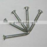 Galvanized Spiral Shank Nails, Flooring Nails thumbnail-1