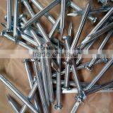 Fluted Concrete Nails High Quality thumbnail-5