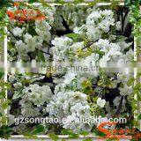 High Quality Price Artificial White Cherry Blossom Tree for Wedding Decoration Wholesale thumbnail-5