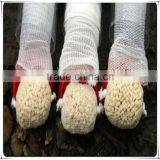 Japan Material 20 Degree 40s Pva Water Soluble Yarn for Pva Mesh thumbnail-2