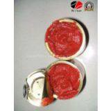 Hot Sale Chinese Delicious Tomato Paste Ketchup thumbnail-3