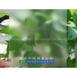 Anti-fingerprint Effect Glass Frosting Powder thumbnail-1