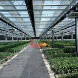 Commercial Agricultural Glass Greenhouse for Flower and Vegetables Glass Greenhouse thumbnail-2