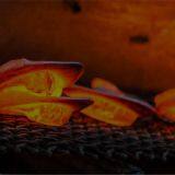 Hebei Golden-hammer Forgings Co., Ltd company overview - view 1 thumbnail