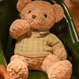 Teddy Bear Dolls thumbnail-1