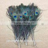Custom Design Peacock Feather Wholesale thumbnail-2