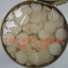 Canned Water Chestnuts