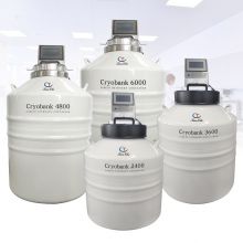 French Polynesia vapor phase liquid nitrogen tank KGSQ cryogenic freezer liquid nitrogen