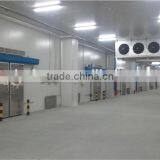Dragon Fruit Refrigerating Room With Different Temperature thumbnail-4