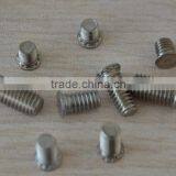 ISO 9001-2008 Zinc Plated Steel Pressure Screw