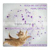 Color Cat Litter thumbnail-1